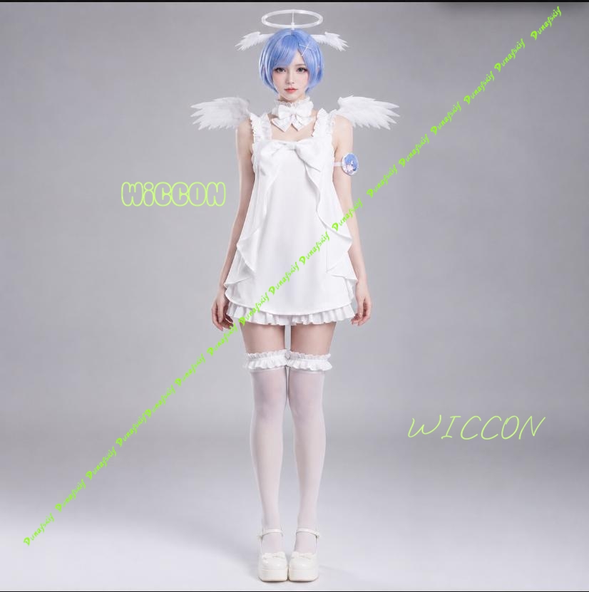 Re Zero Character Cosplay Atti - Re Zero Rem Wig 评论和价格